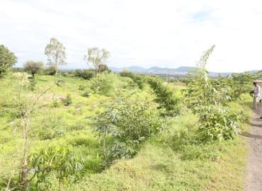 Sawkar Ayurvedic Medical College & Hospital Satara Some Moments photo 4